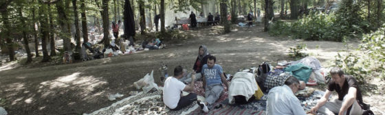 Common Ground : utilisation pour les loisirs dans la Forêt de Belgrade au nord-ouest d'Istanbul.