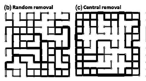 Menendez: TERRAIN – Traffic operations on urban grid networks