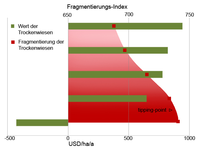 NL23: Resilienz von sensiblen Ökosystemen am Beispiel Trockenwiesen