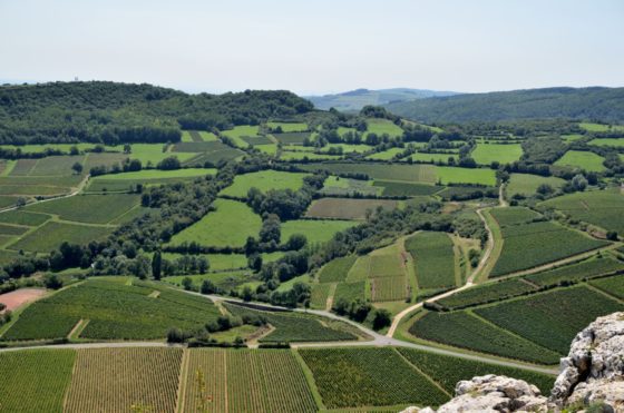 Bocage or hedgerows near Solutré, 2001 (© Hansjörg Küster).