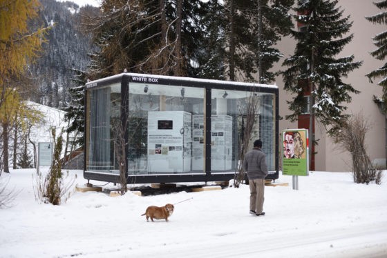 Whitebox, Davos