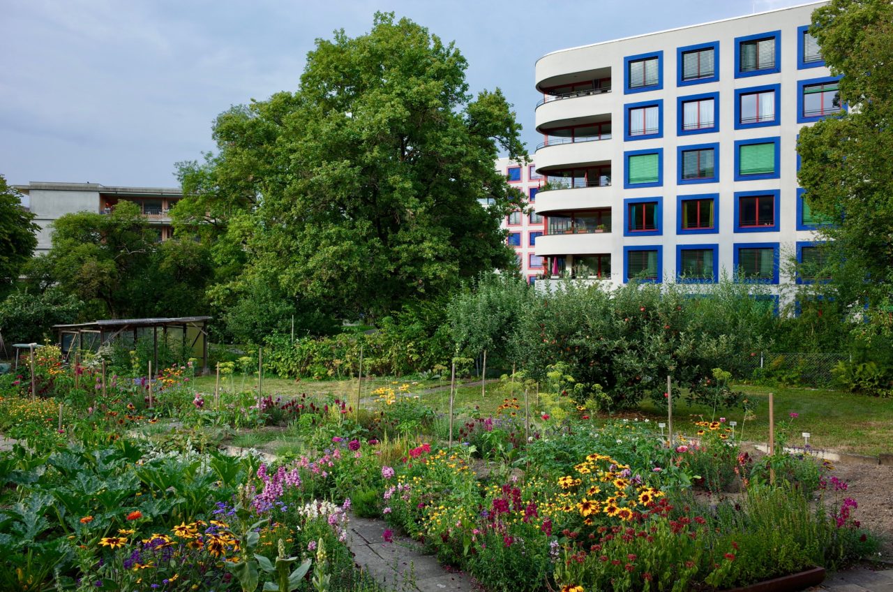 Ersatzneubau in der Wohnsiedlung Else Züblin (2012) der gemeinnützigen Wohnbaugenossenschaft Sunnige Hof in Zürich. © Roman Streit