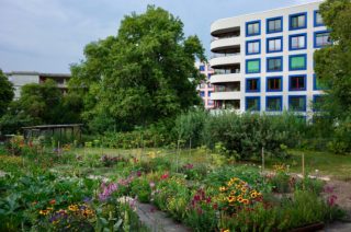 Ersatzneubau in der Wohnsiedlung Else Züblin (2012) der gemeinnützigen Wohnbaugenossenschaft Sunnige Hof in Zürich. © Roman Streit