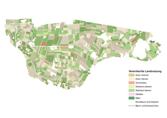 Abbildung 2: Vereinfachte kartografische Darstellung des wünschenswerten Zustandes © PLUS, ETH Zürich Legende «Vereinfachte Landnutzung»: Acker extensiv | Acker intensiv | Gemüsebau | Grünland extensiv | Grünland intensiv | Obstbau | Wald | Einzelbaum und Gebüsch | Baum- und Gebüschreihe (v.o.n.u.)