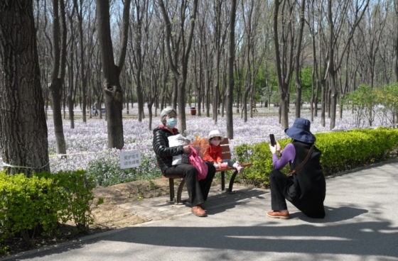 Three generations in the park, April 2020 © Jingfan Xue