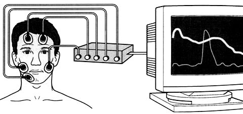 Biofeedback (CC BY-​SA 4.0 / Katja1995 via Wikimedia Commons)