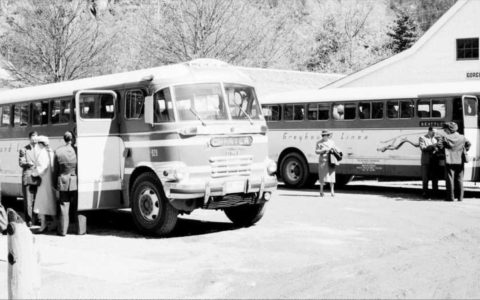 Greyhound Busse bei Gorge Inn, 1952 (CC BY 2.0 by Seattle Municipal Archives via flickr)