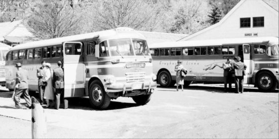 Greyhound Busse bei Gorge Inn, 1952 (CC BY 2.0 by Seattle Municipal Archives via flickr)