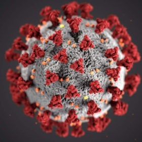 SARS-​CoV-2 (CC0 1.0 : CDC by Unsplash)