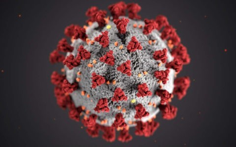 SARS-​CoV-2 (CC0 1.0 : CDC by Unsplash)
