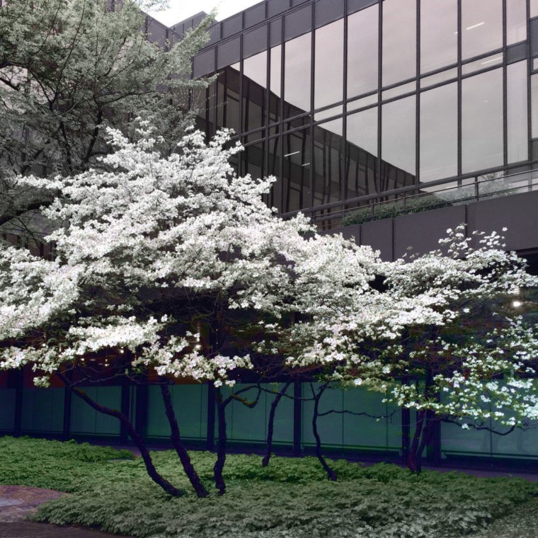 ETH Zürich, Hönggerberg, in front of the HIL building. © Dunja Richter, ETH Zurich