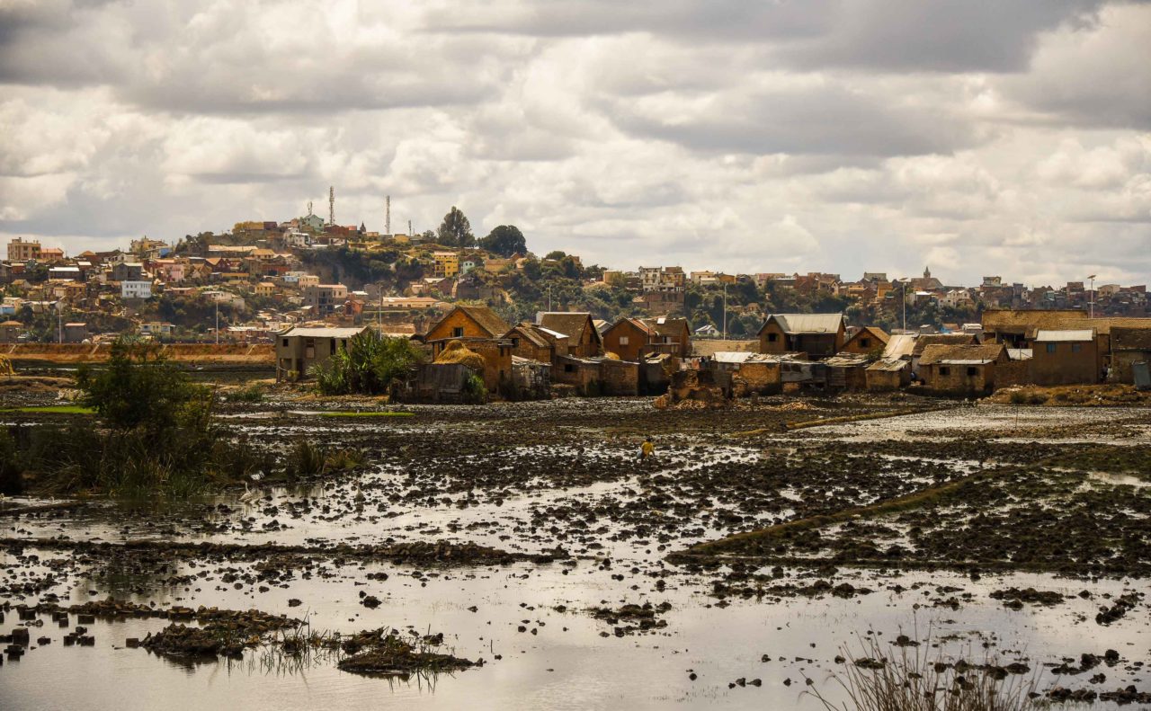 View of the agro-urban landscape of Antananarivo © by Rod Waddington