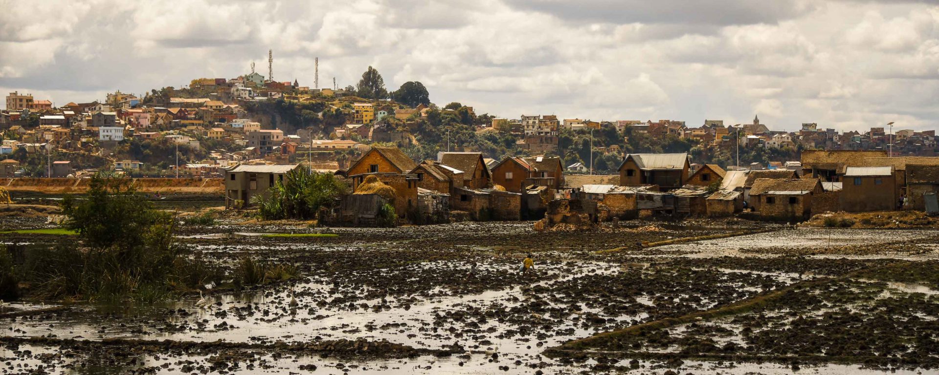 View of the agro-urban landscape of Antananarivo © by Rod Waddington