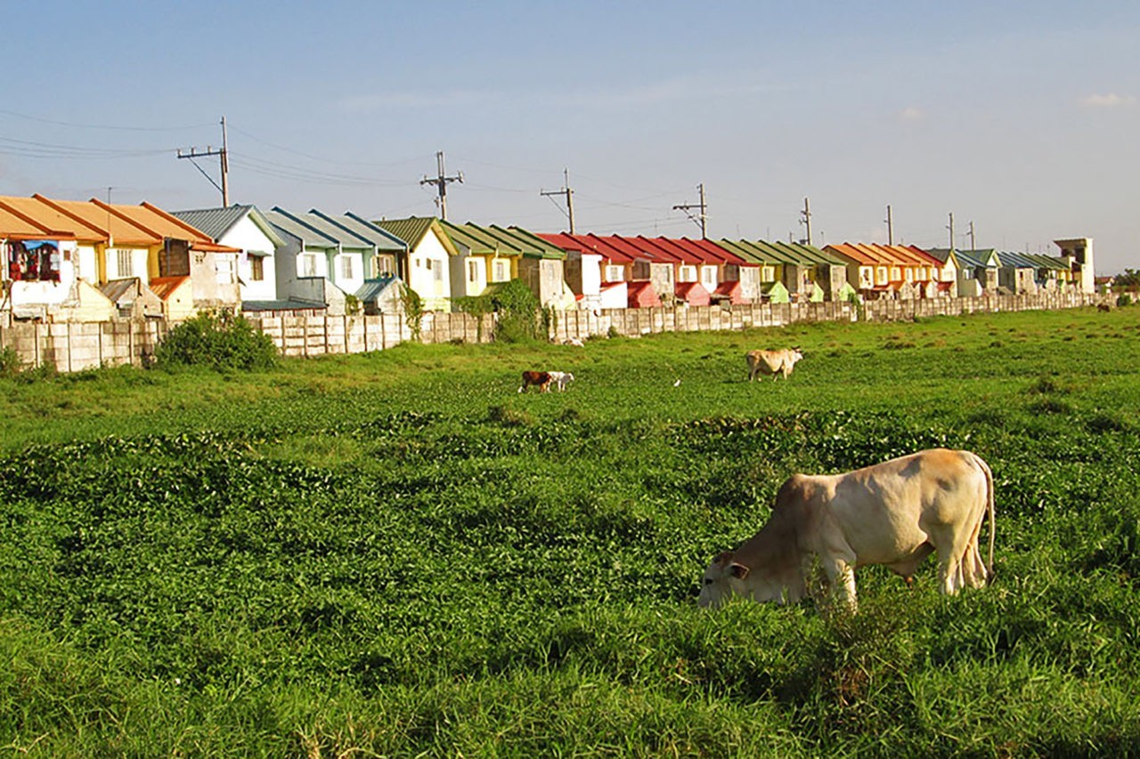 A cow peacefully grazes on an open field, a real estate development site with a row of houses and electrical poles in the background. Such landscapes are commonly seen around the world – and it could be just about anywhere there is arable land. In this case it is in Manila where, as in many countries, we find the rise of mixed land uses, the enclosure of formerly public land for private uses, and the conversion of agricultural land for industrial, commercial and real estate purposes. Although arable land is rare and valuable (only about 4% of the earth’s surface) this is a familiar pattern – urban eats rural, and rural eats wilderness. The ambition to break this pattern is at the heart of the FCL Global programme. © University of the Philippines Population Institute, «Spaces in Transition: Mapping Manila’s Peri-Urban Fringe,» with the kind permission of Prof. Arnisson Ortega, Syracuse University.