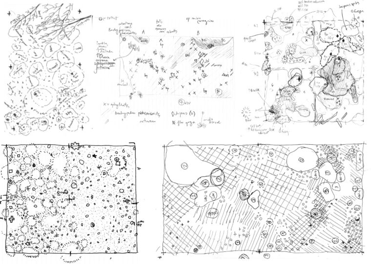 Compiled field notes from site vegetation inventory of forest plots © Chair of Being Alive, ETH Zurich