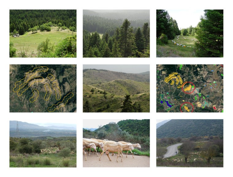 Forest in Transition: Commons, Energy-Plants and Grazing © Metaxia Markaki, ETH Zurich