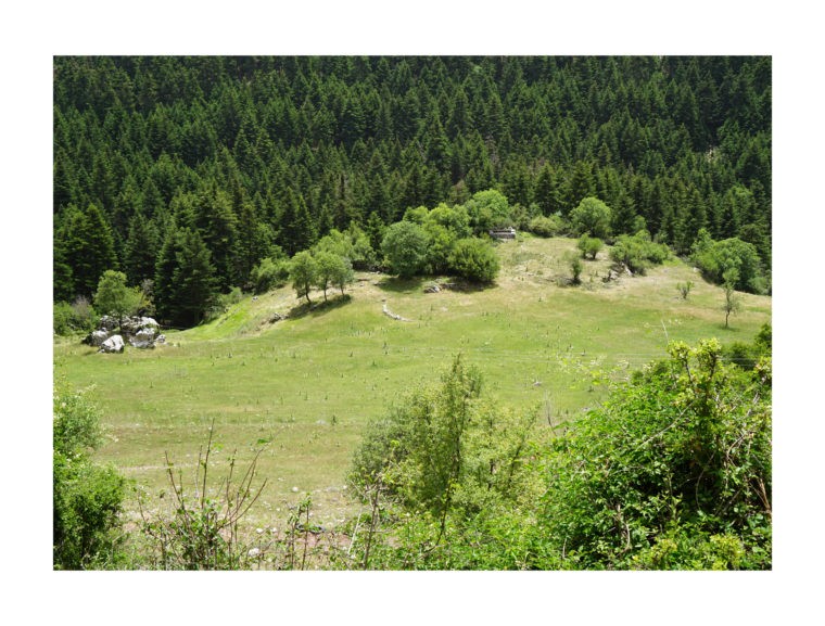 Agricultural Meadow © Metaxia Markaki, ETH Zurich