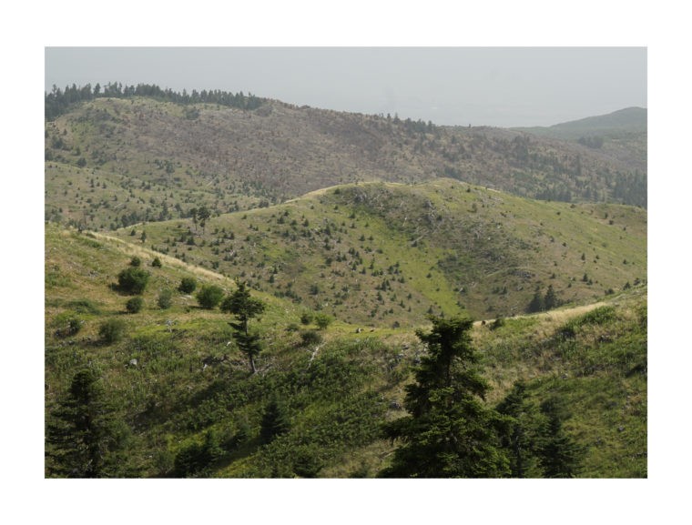 Burnt Slopes, Dobritsa peak © Metaxia Markaki, ETH Zurich