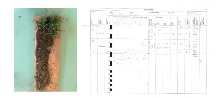 Analysis, documentation and translation of soil sampling, soil chromatography and soil underwear test undertaken during the one-week workshop at Cima Città © Chair of Being Alive, ETH Zurich