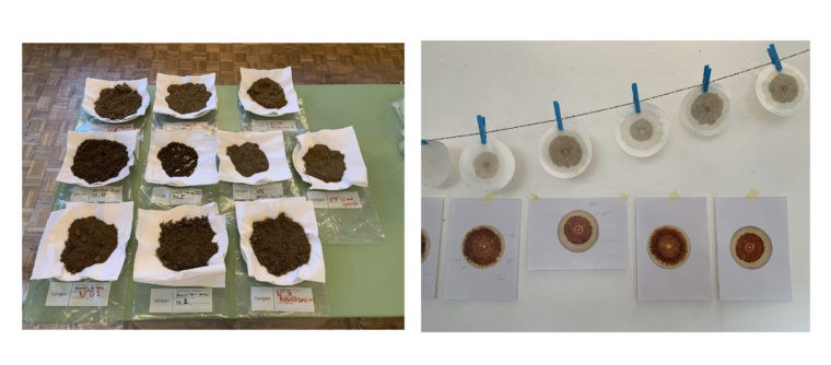 Analysis, documentation and translation of soil sampling, soil chromatography and soil underwear test undertaken during the one-week workshop at Cima Città © Chair of Being Alive, ETH Zurich