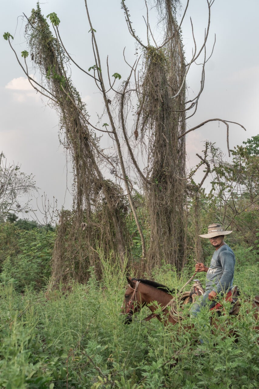 «Tierrita» – Documentary by Leonie Pock, 2021 Colombia, 27 min, English / Spanish