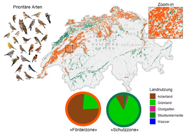 Untersuchte prioritäre Vogelarten, sowie Karte mit Schutzzone «grün» mit hohem Potential für Prioritätsarten und niedriger Nutzungsintensität, und Förderzone «orange» mit hohem Potential für Prioritätsarten und hoher Nutzungsintensität («orange») und deren Landnutzung.
(Quellen: Vögel Noëlle Klein, Hintergrundkarte: Swisstopo, FOEN, Swiss Parks Network, SITG, Geodaten Kantone)