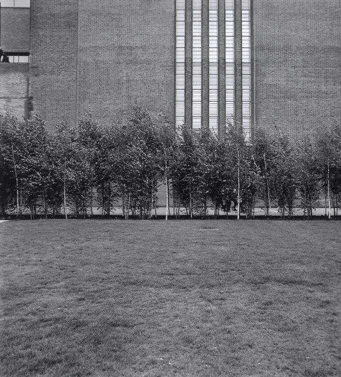Das Birkenwäldchen vor der Tate Modern (Bild: Christian Vogt)