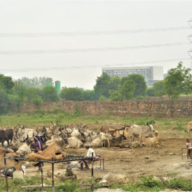 Image text: inhabing material incompletion. A photograph of Megan's dhung squatting a ruderal fallow along Dwarka Expressway in Delhi region @ Nitin Bathla, ETH Zürich
