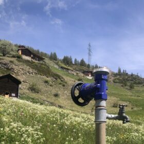 Sprinkler head and flowering hay meadow in Törbel, May 2025. © ETH Zürich, Nicole de Lalouvière